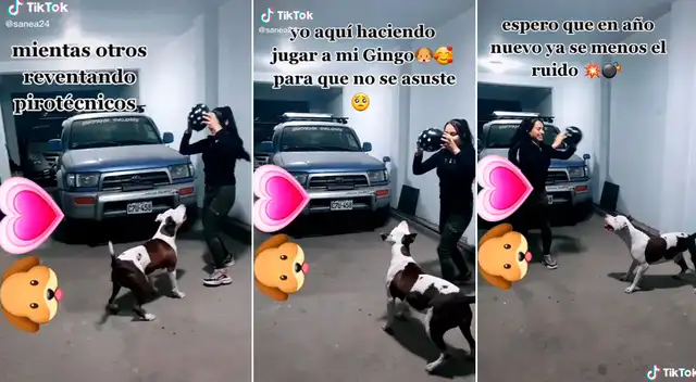 La joven llevó a su perrito a jugar para distraerlo de los pirotécnicos.