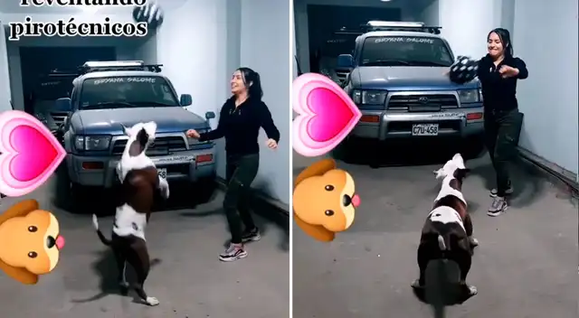 La joven llevó a su perrito a jugar para distraerlo de los pirotécnicos.