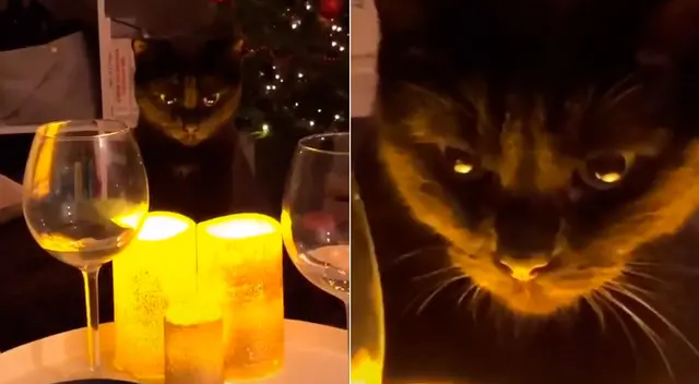 El divertido video logró obtener más de 1 millón de reproducciones en TikTok. El divertido video logró obtener más de 1 millón de reproducciones en TikTok.