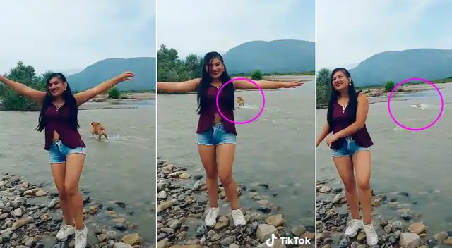 En el viral de TikTok se puede ver a la joven haciendo gala de sus pasos de baile, sin darse cuenta que su mascota estaba cruzando el río.