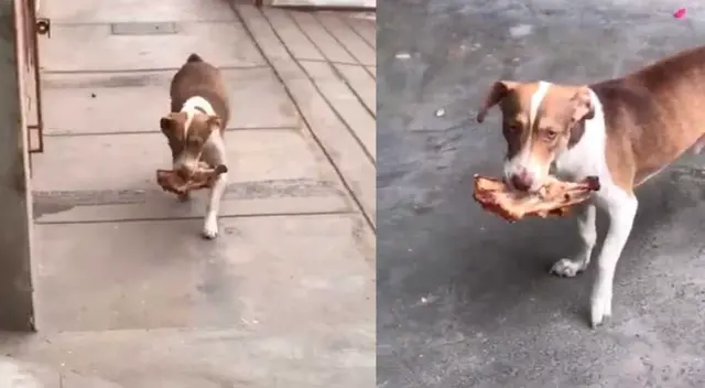 La escena causó la risa de varios usuarios en las redes sociales.