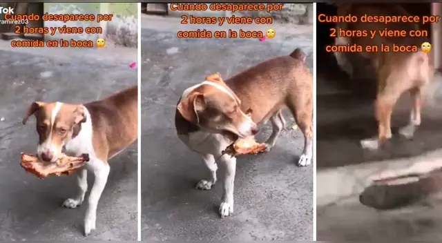 El clip cuenta con miles de reproducciones en TikTok.