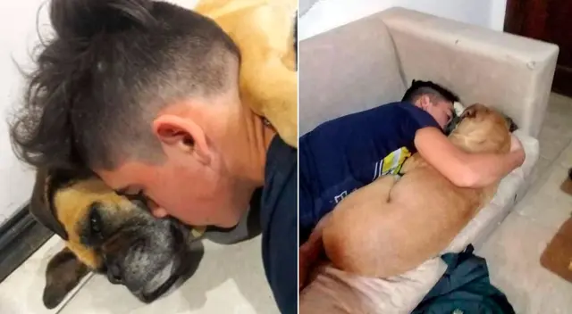 Magui murió en brazos de su dueño. Magui murió en brazos de su dueño.