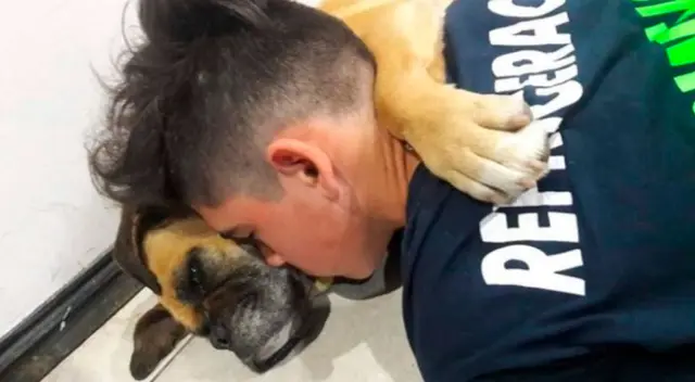 Magui murió en brazos de su dueño. Magui murió en brazos de su dueño.