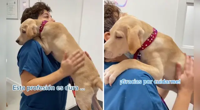 La emotiva escena se ha robado el corazón de miles de usuarios en las redes sociales. La emotiva escena se ha robado el corazón de miles de usuarios en las redes sociales.