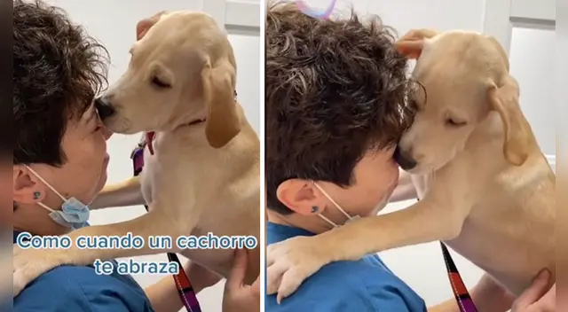 El clip cuenta con miles de reproducciones en TikTok. El clip cuenta con miles de reproducciones en TikTok.