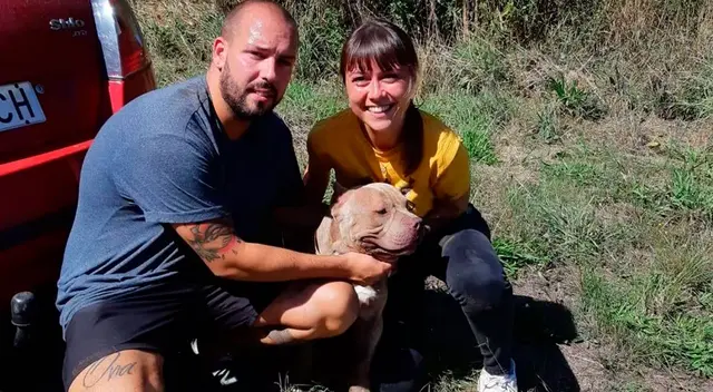 Magui no soportó los fuertes estruendo de los fuegos artificiales. Magui no soportó los fuertes estruendo de los fuegos artificiales.