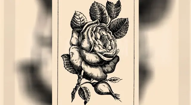 El reto visual que muy pocos han podido resolver El reto visual que muy pocos han podido resolver