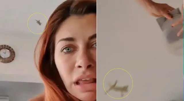 Xoana González comparte gracioso momento que tuvo con una lagartija. Xoana González comparte gracioso momento que tuvo con una lagartija.