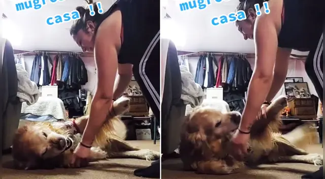 El clip cuenta con miles de reproducciones en TikTok.