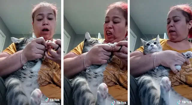 Gatita le gruñe a su dueña y ella le responde de una manera insólita