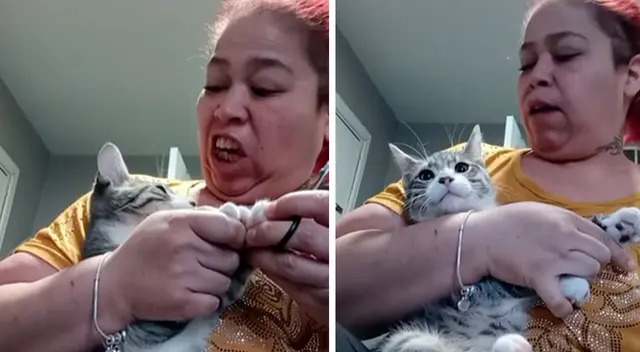 Gatita le gruñe a su dueña y ella le responde de una manera insólita