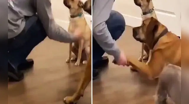 El clip cuenta con miles de reproducciones en YouTube. El clip cuenta con miles de reproducciones en YouTube.