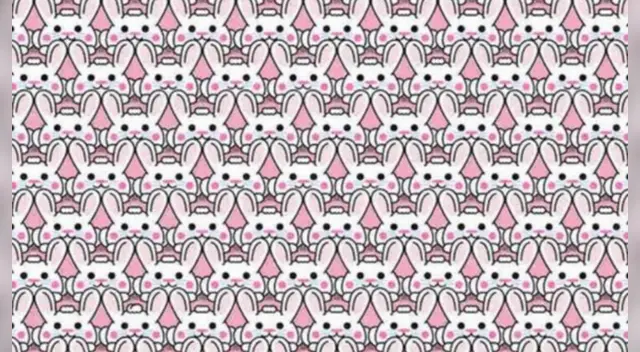 Tienes pocos segundos para dar con la respuesta. Tienes pocos segundos para dar con la respuesta.