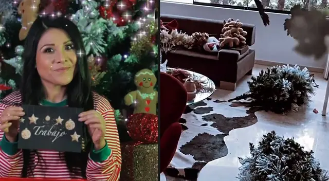 Tula Rodríguez empieza limpieza profunda de su casa. Tula Rodríguez empieza limpieza profunda de su casa.