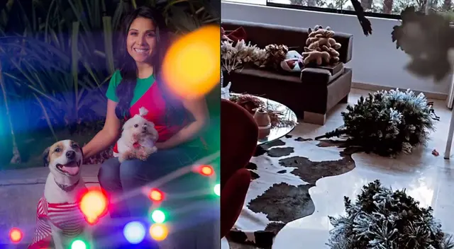 Tula Rodriguez hace limpieza profunda a su casa. Tula Rodriguez hace limpieza profunda a su casa.