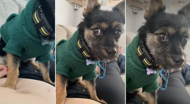 El clip cuenta con miles de reproducciones en Facebook. El clip cuenta con miles de reproducciones en Facebook.