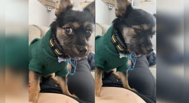 El emotivo video cautivó a miles en las redes sociales. El emotivo video cautivó a miles en las redes sociales.