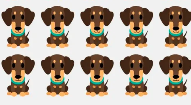 Solo tienes 15 segundos para encontrar la solución a este challenge.