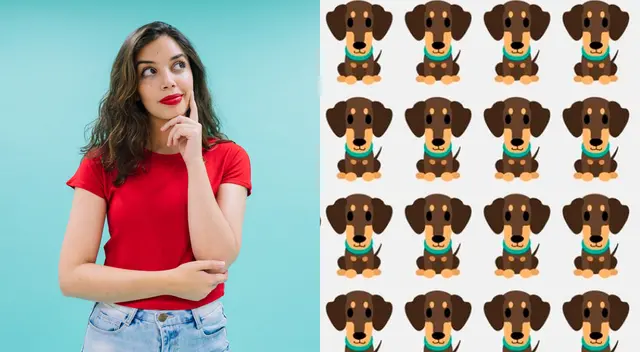 Solo tienes 15 segundos para encontrar la solución a este challenge.