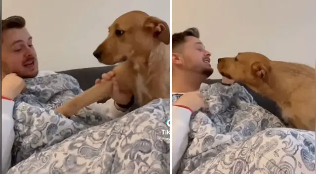 La tierna escena cautivó a los usuarios en las redes sociales.