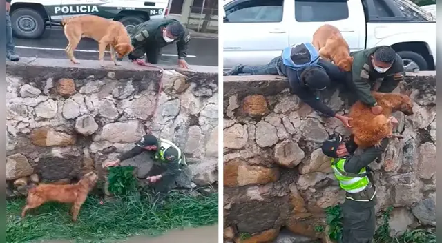 El clip cuenta con miles de reproducciones en YouTube.