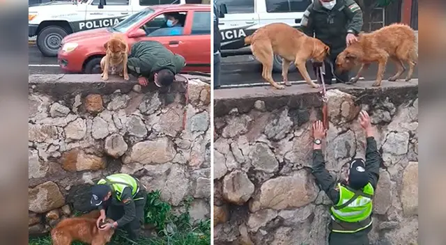 La emotiva escena se ha robado el corazón de miles de usuarios en las redes sociales.