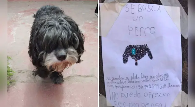 La emotiva publicación cuenta con miles de reacciones en Twitter.