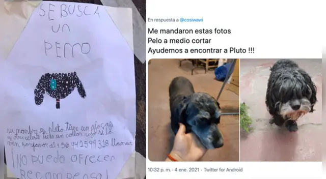 El tierna accionar de la menor conmovió a los usuarios en las redes sociales.