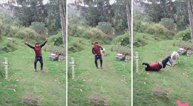 El joven no se percató de la presencia de la oveja.