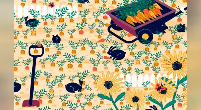 El reto visual que alborota las redes sociales