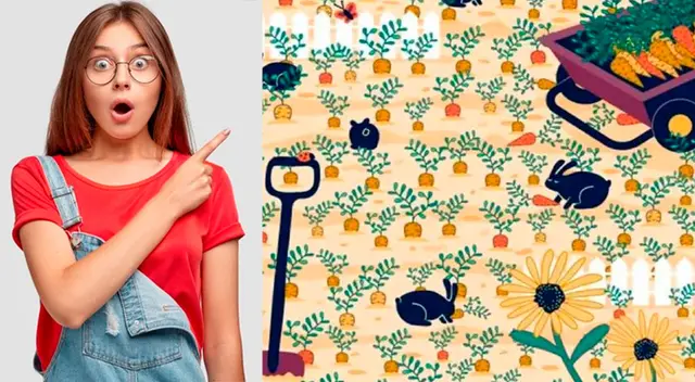 El reto visual que alborota las redes sociales