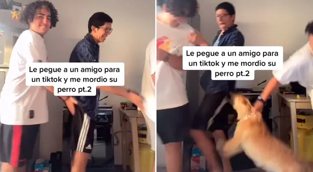 El perrito salió en defensa de su dueño. El perrito salió en defensa de su dueño.