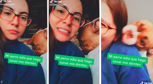 Perro detesta que su dueña haga sonar sus dientes y su reacción se vuelve viral Perro detesta que su dueña haga sonar sus dientes y su reacción se vuelve viral