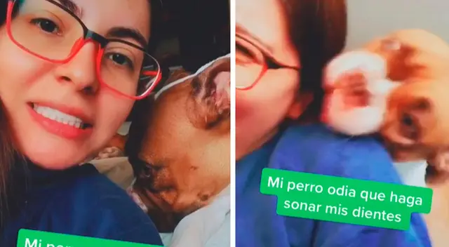 Perro detesta que su dueña haga sonar sus dientes y su reacción se vuelve viral Perro detesta que su dueña haga sonar sus dientes y su reacción se vuelve viral