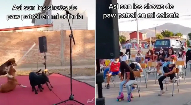 Los perritos subieron al escenario para jugar. Los perritos subieron al escenario para jugar.