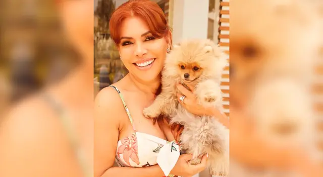 Magaly Medina emocionada por su regreso: “Este lunes 11 nos reencontramos, ¡Regresa La firme!” Magaly Medina emocionada por su regreso: “Este lunes 11 nos reencontramos, ¡Regresa La firme!”