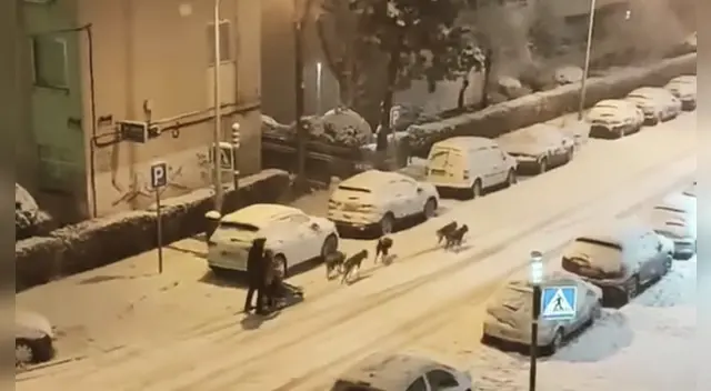 La escena causó todo tipo de comentarios en las redes sociales.