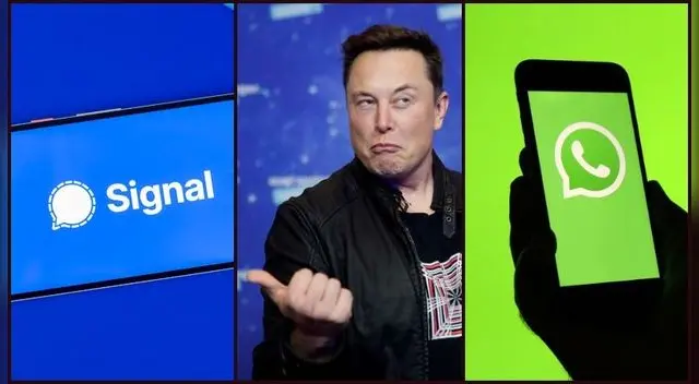 Elon Musk le dice a sus seguidores que usen la aplicación de mensajería Signal.