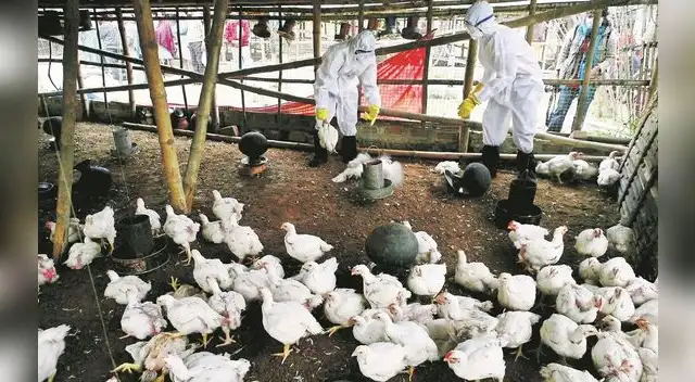 El gobierno central pidió a las administraciones estatales del país que garanticen una comunicación y coordinación eficaces con las autoridades sanitarias.