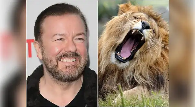 El humorista Ricky Gervais se ha convertido en la sensación en ese país al revelar que desea donar su cuerpo a los leones de un zoológico.