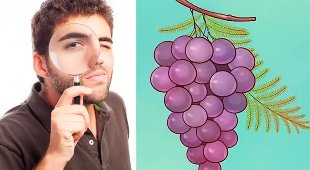 ¿Qué está mal en la imagen? ¿Qué está mal en la imagen?