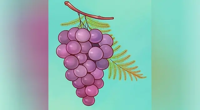 ¿Qué está mal en la imagen? ¿Qué está mal en la imagen?