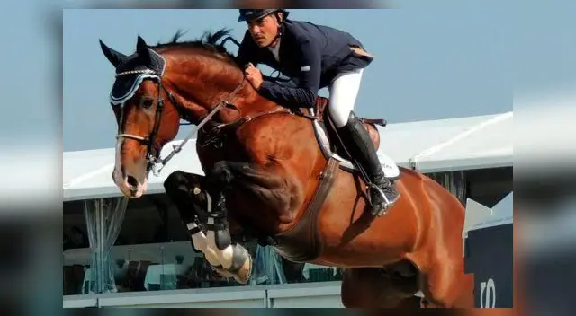 Las elecciones en la Federación Ecuestre del Perú se realizarán en marzo Las elecciones en la Federación Ecuestre del Perú se realizarán en marzo