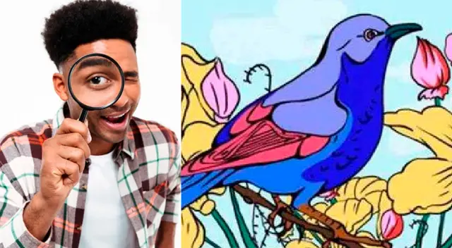 ¿Puedes encontrar los tres objetos que se esconden en la imagen? ¿Puedes encontrar los tres objetos que se esconden en la imagen?