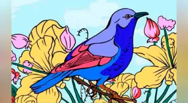 ¿Puedes encontrar los tres objetos que se esconden en la imagen? ¿Puedes encontrar los tres objetos que se esconden en la imagen?