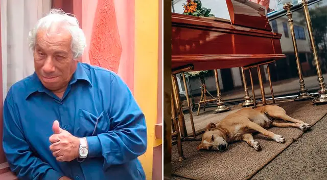 Mascota de Guillermo Campos no se separa de su féretro.