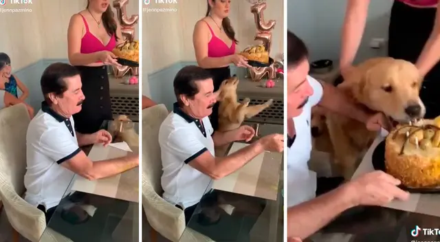 Perrito se comió la torta de cumpleaños de su dueño antes de que él sople la vela Perrito se comió la torta de cumpleaños de su dueño antes de que él sople la vela