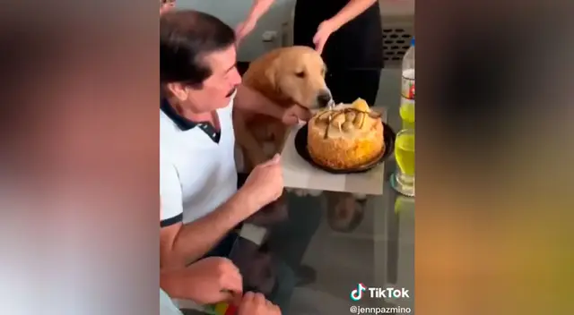Perrito se comió la torta de cumpleaños de su dueño antes de que él sople la vela Perrito se comió la torta de cumpleaños de su dueño antes de que él sople la vela