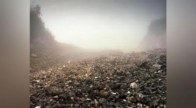 Reto visual que solo el 1% de los usuarios lo ha resuelto Reto visual que solo el 1% de los usuarios lo ha resuelto